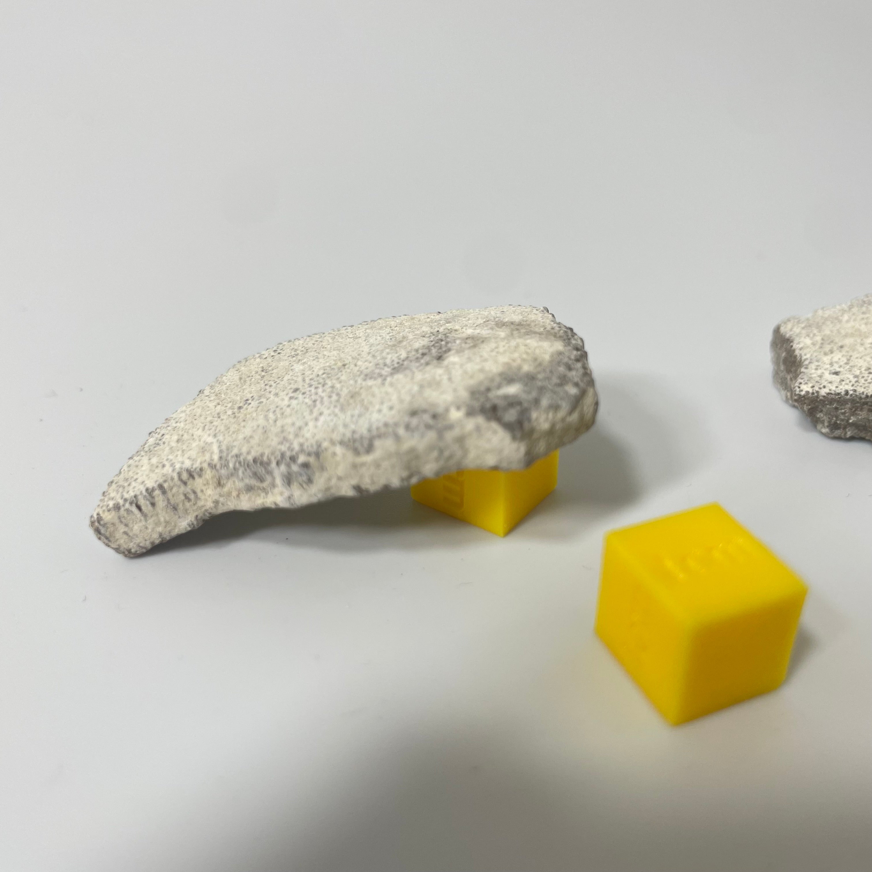 Titanosaur Eggshell Fragment (1 Piece)