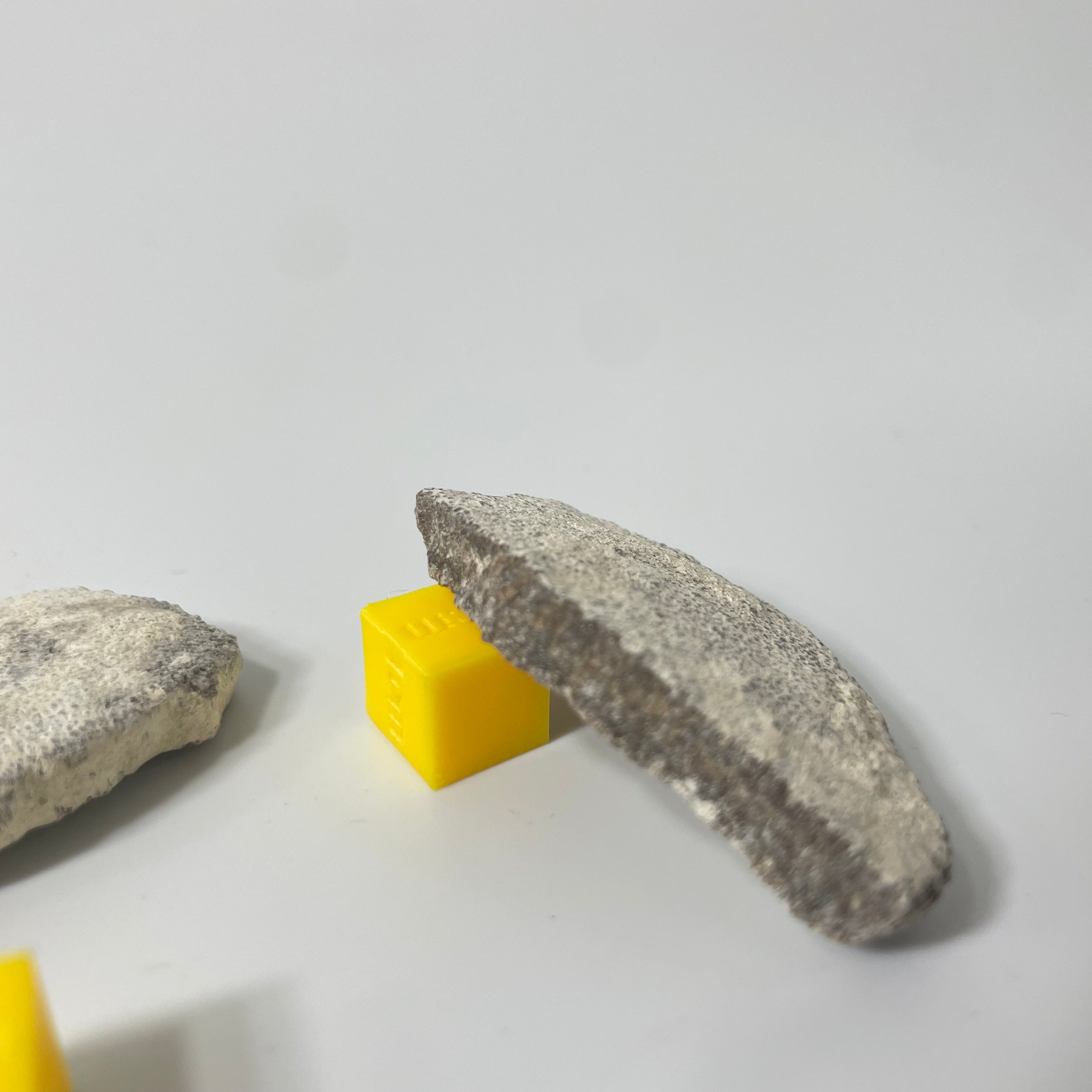 Titanosaur Eggshell Fragment (1 Piece)