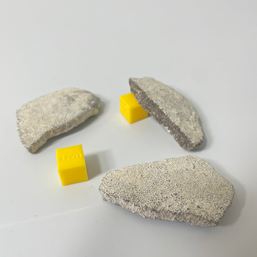 Titanosaur Eggshell Fragment (1 Piece)