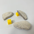 Titanosaur Eggshell Fragment (1 Piece)
