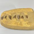 Mosasaur Jaw Section Natural Teeth And Bone Fossil In Composite Matrix ~ 23cm