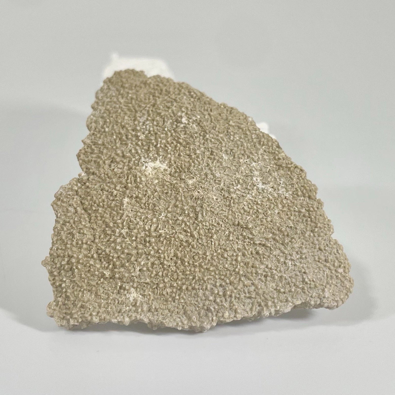 Titanosaur Egg Fragment Natural Fossil Dinosaur Egg 55mm