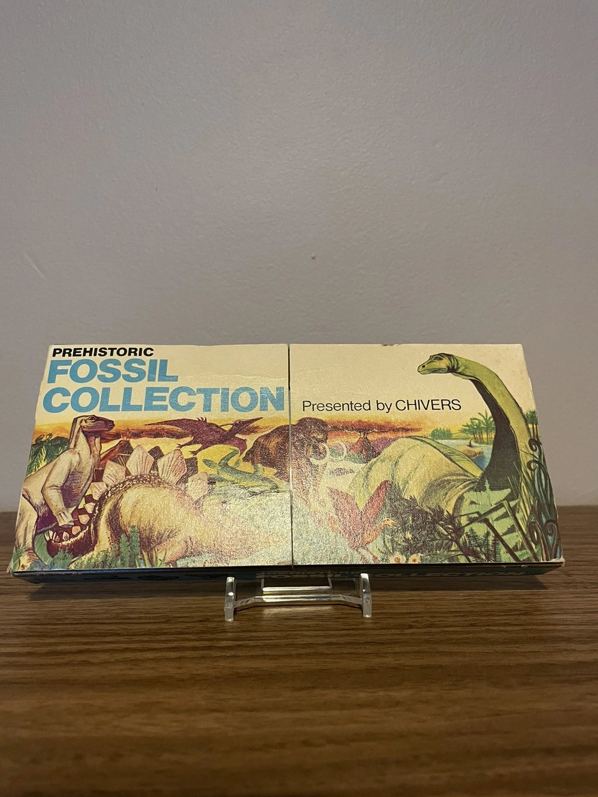 Vintage Prehistoric Fossil Collection presented by Chivers 1973 - With Stand