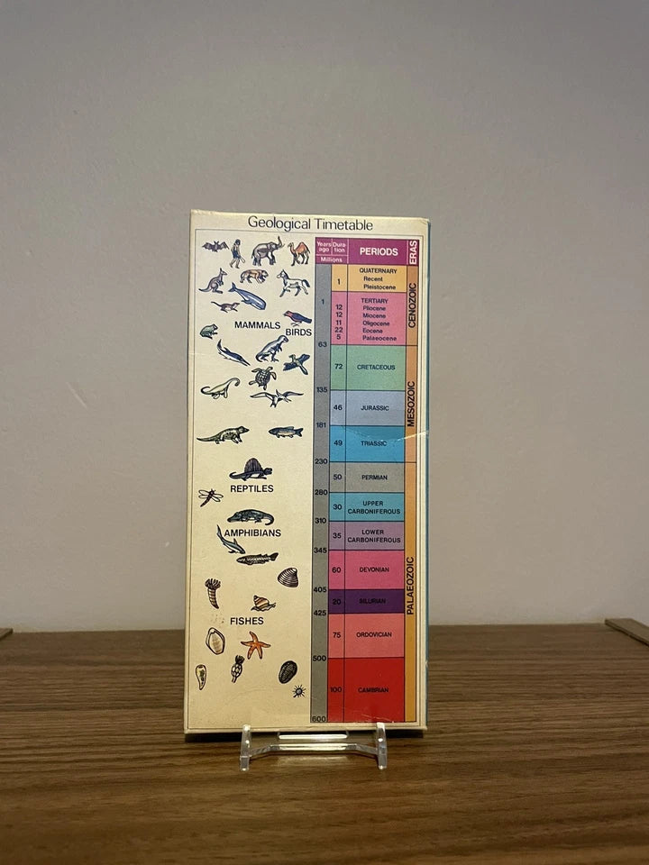 Vintage Prehistoric Fossil Collection presented by Chivers 1973 - With Stand