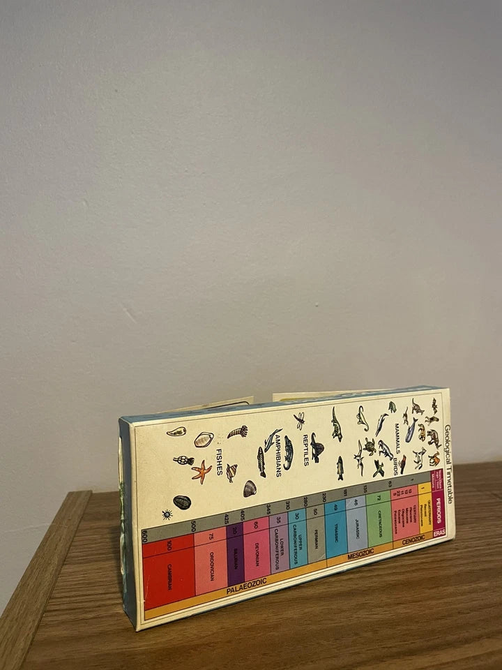 Vintage Prehistoric Fossil Collection presented by Chivers 1973 - With Stand