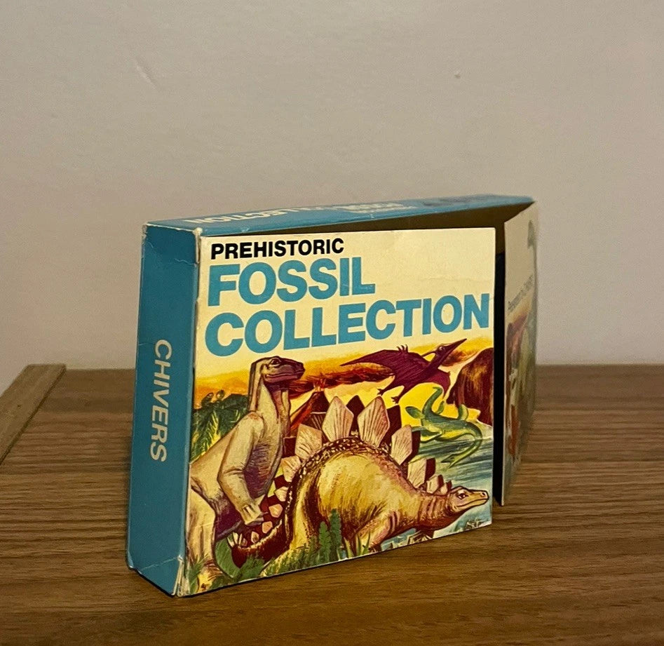 Vintage Prehistoric Fossil Collection presented by Chivers 1973 - With Stand