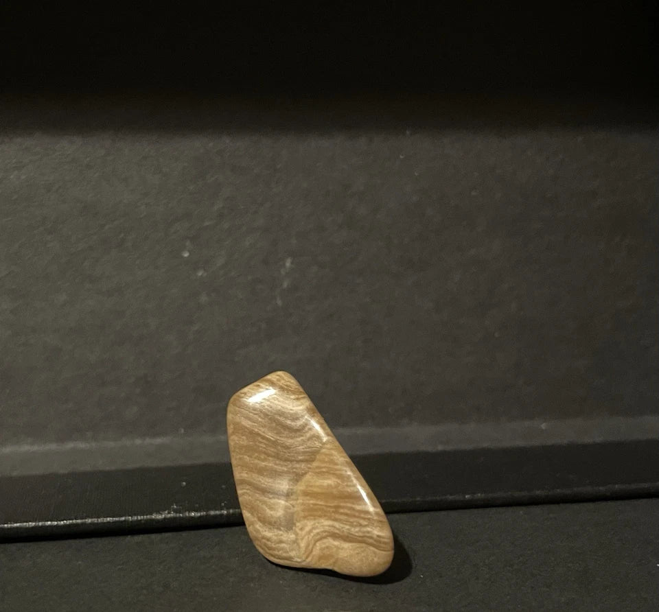 Fossil Stromatolite - West Wyoming USA, Genuine Natural Fossil, 2cm