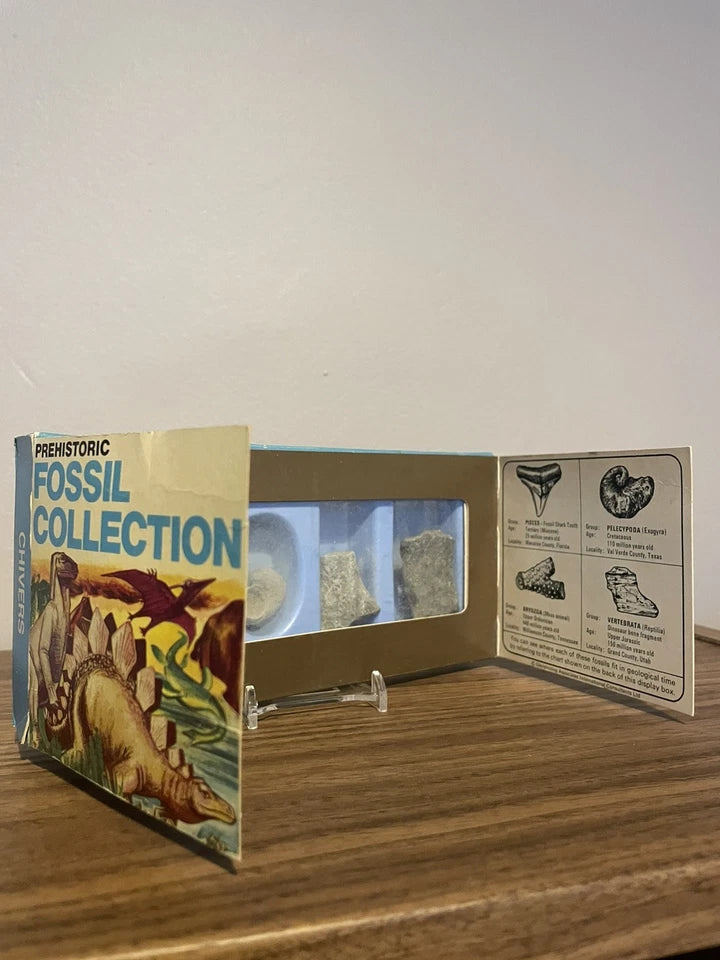 Vintage Prehistoric Fossil Collection presented by Chivers 1973 - With Stand